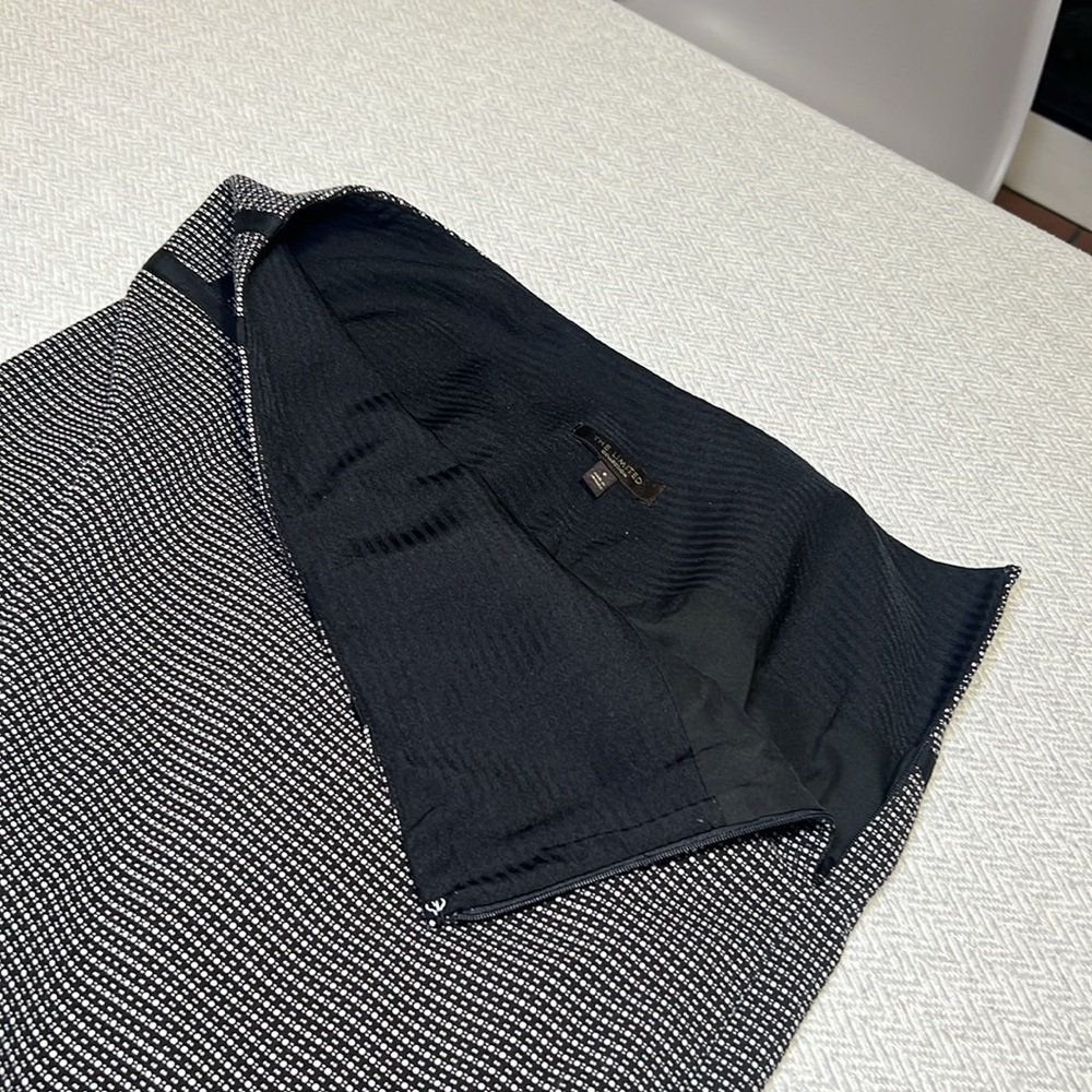 THE LIMITED  Collection Skirt.  Size 8 - Picture 5 of 7